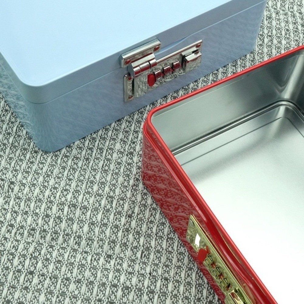 صندوق تخزين معدني مستطيل الشكل - مراجعة Medicine Cabinet Lock وسعره